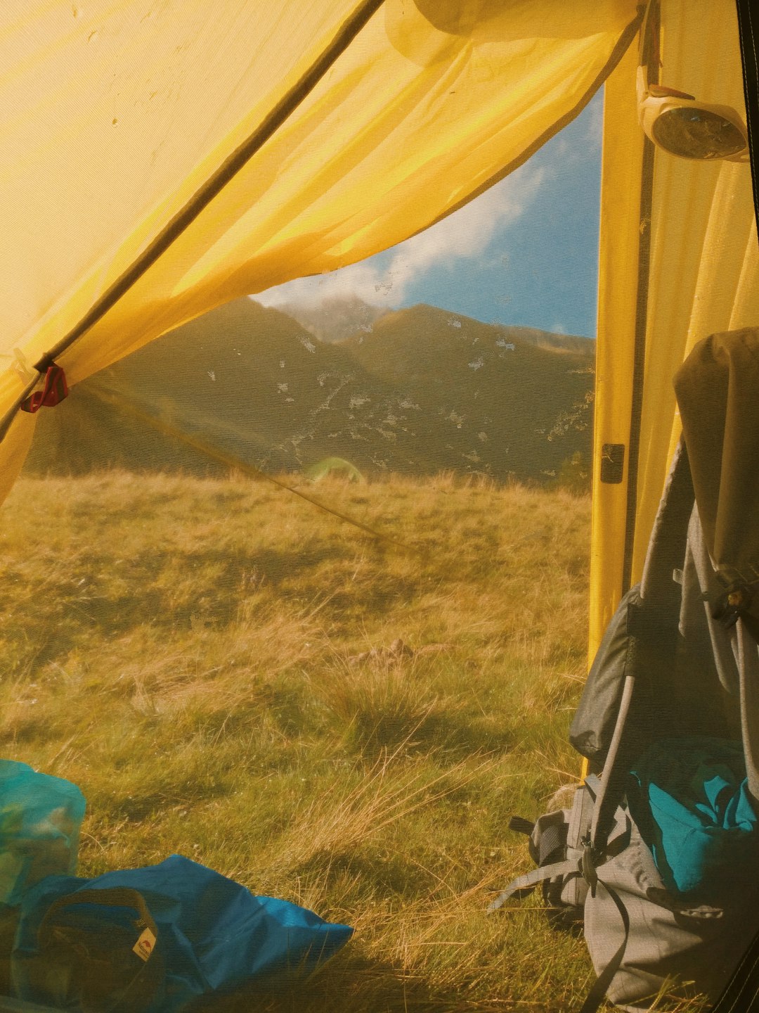 yellow canopy tent on grass field during daytime