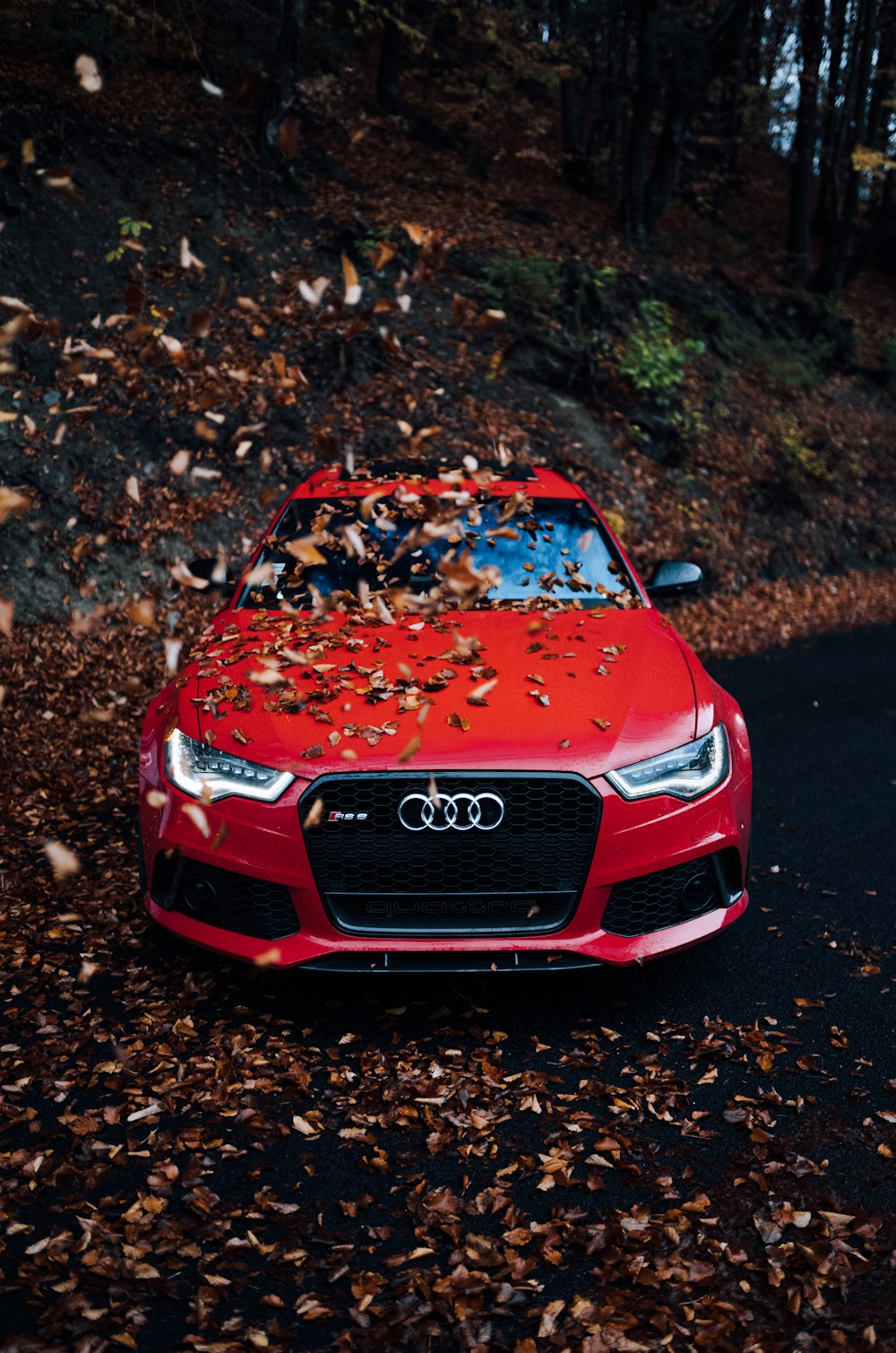 voiture Audi rouge avec des feuilles séchées au-dessus du capot