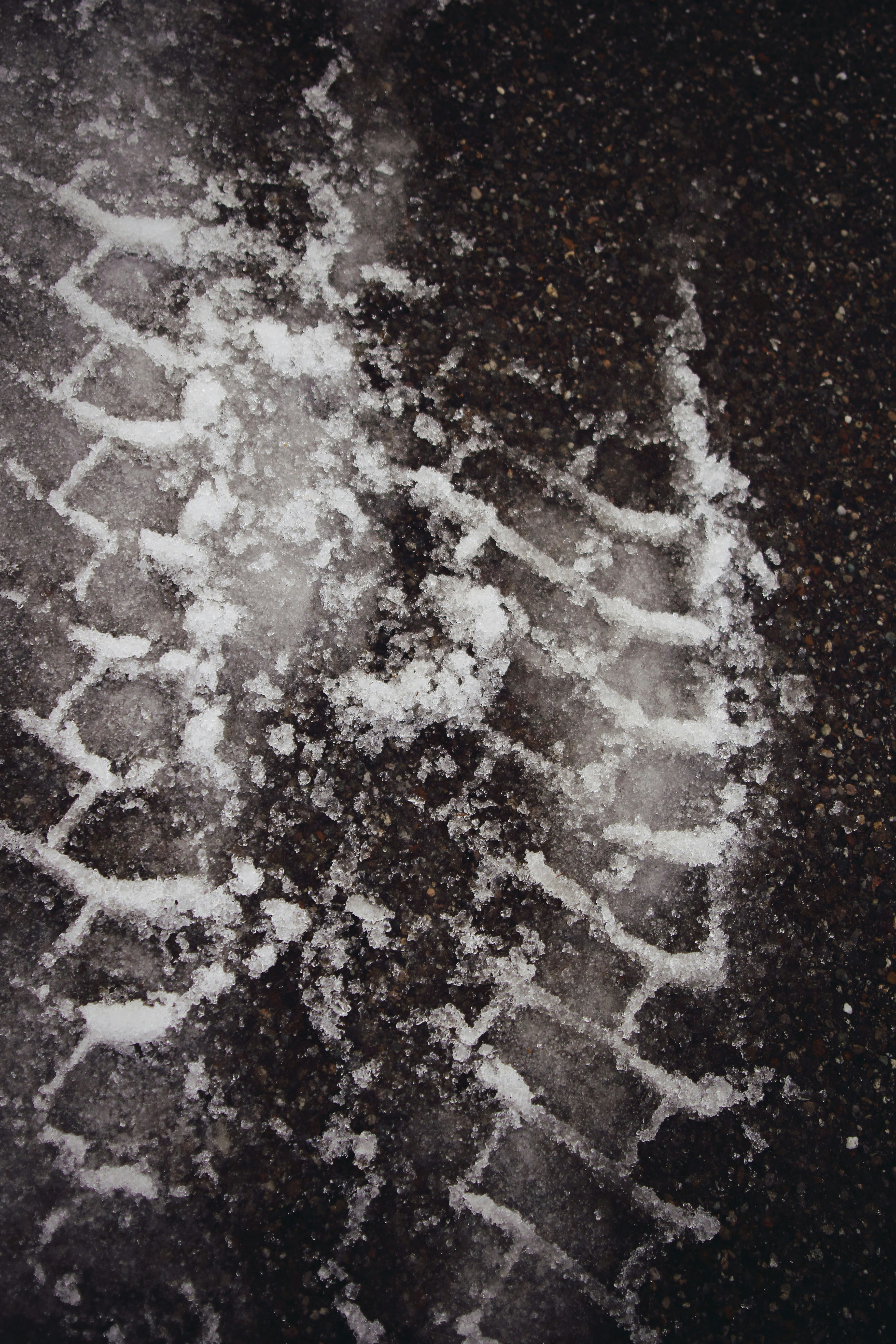 black and white area rug