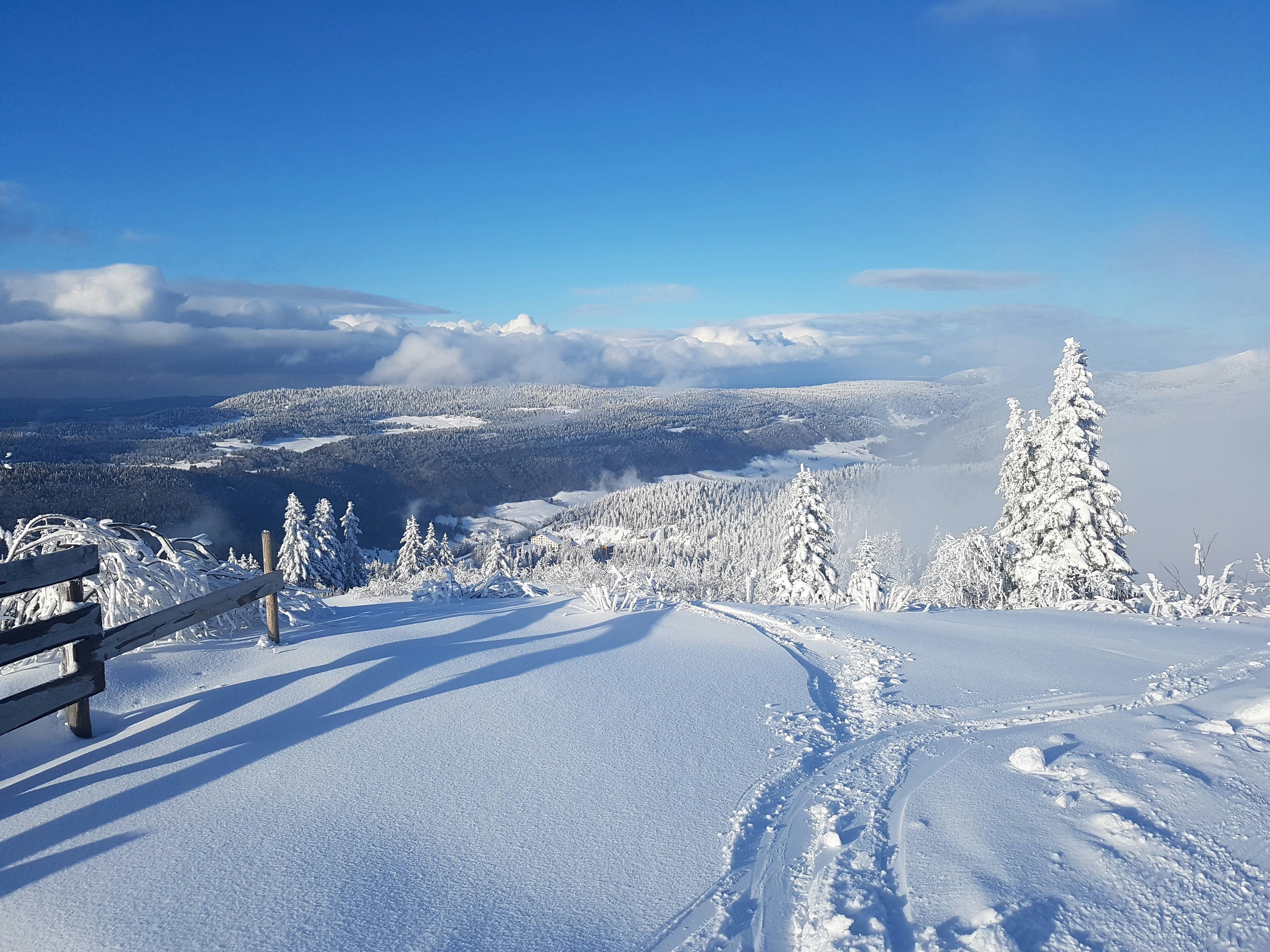 Terrain enneigé photo – Image gratuite de Neige sur Unsplash, image size:3000x2250