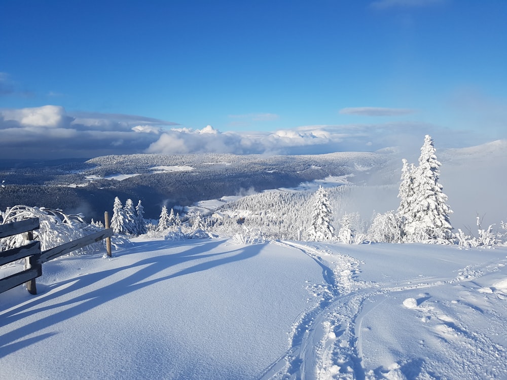 land covered in snow