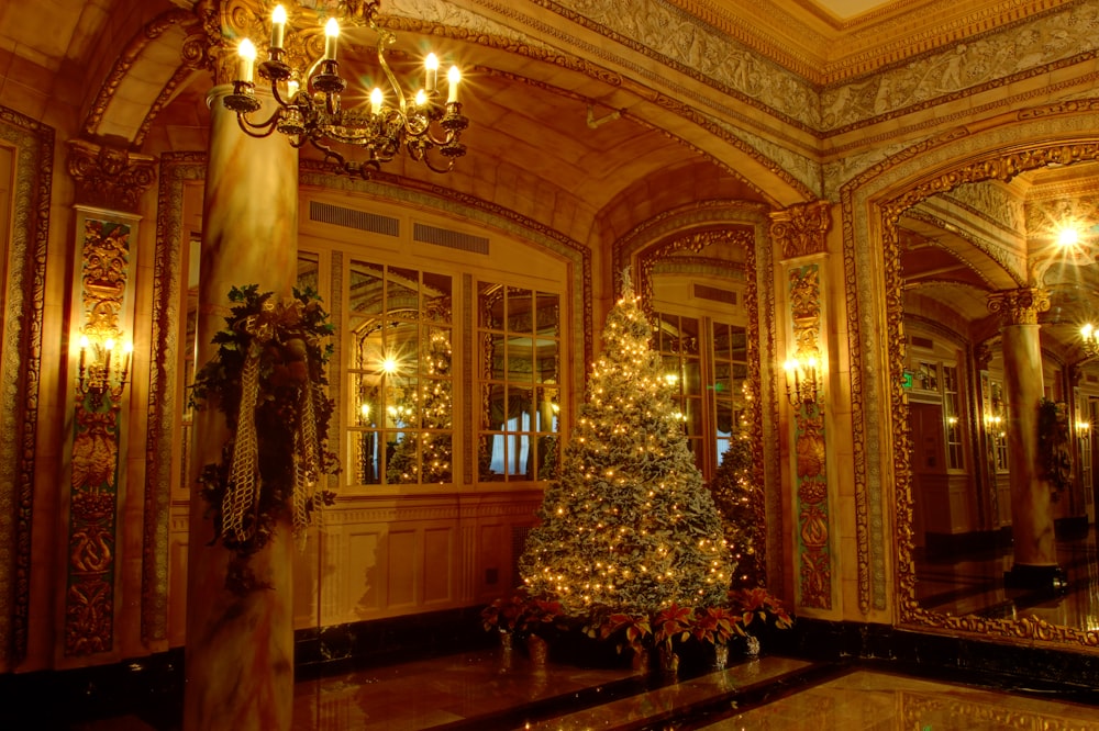 christmas tree with lights near windows