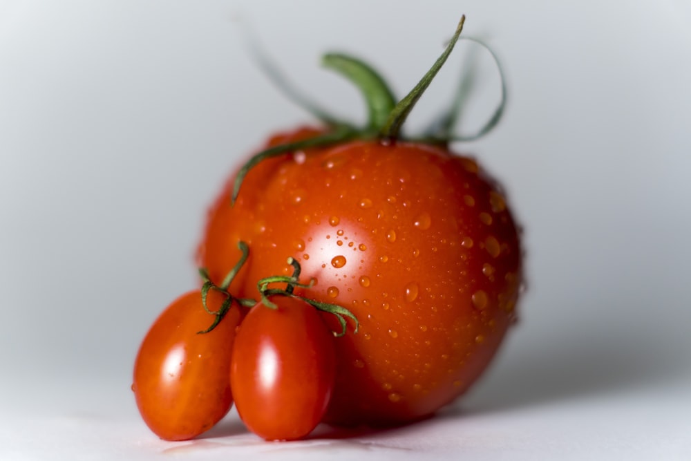 orangefarbene Tomaten