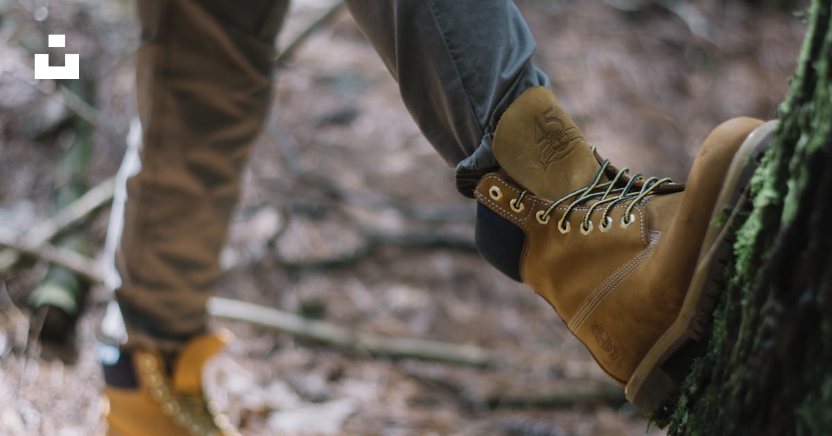 Timberland unsplash top