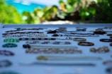 Various handmade bracelets and necklaces displayed on a white surface, with a blurred background of green foliage and a glimpse of blue sky. The jewelry pieces are made of colorful beads, shells, and stones, arranged neatly in rows.
