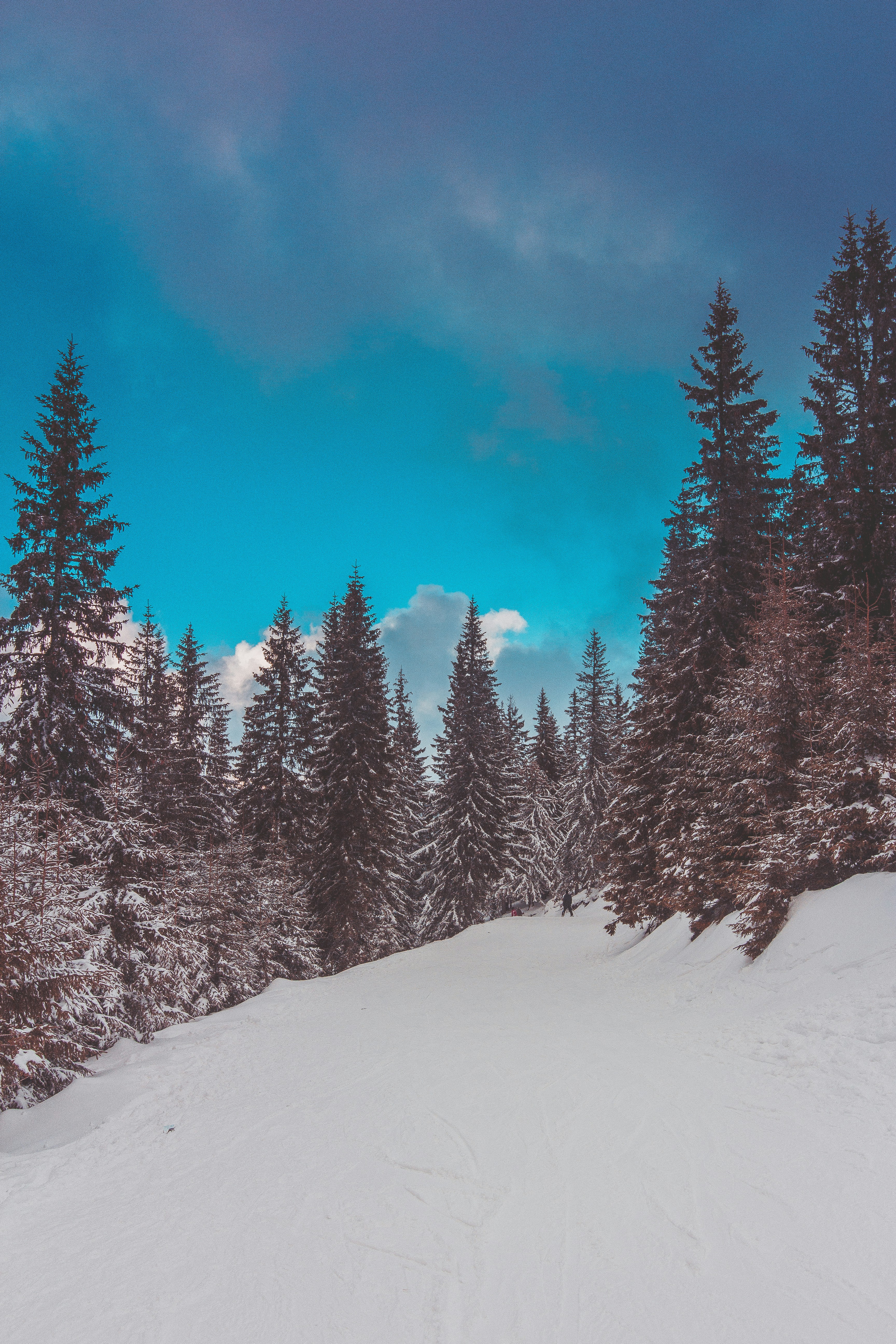 Photo by andreipanfi