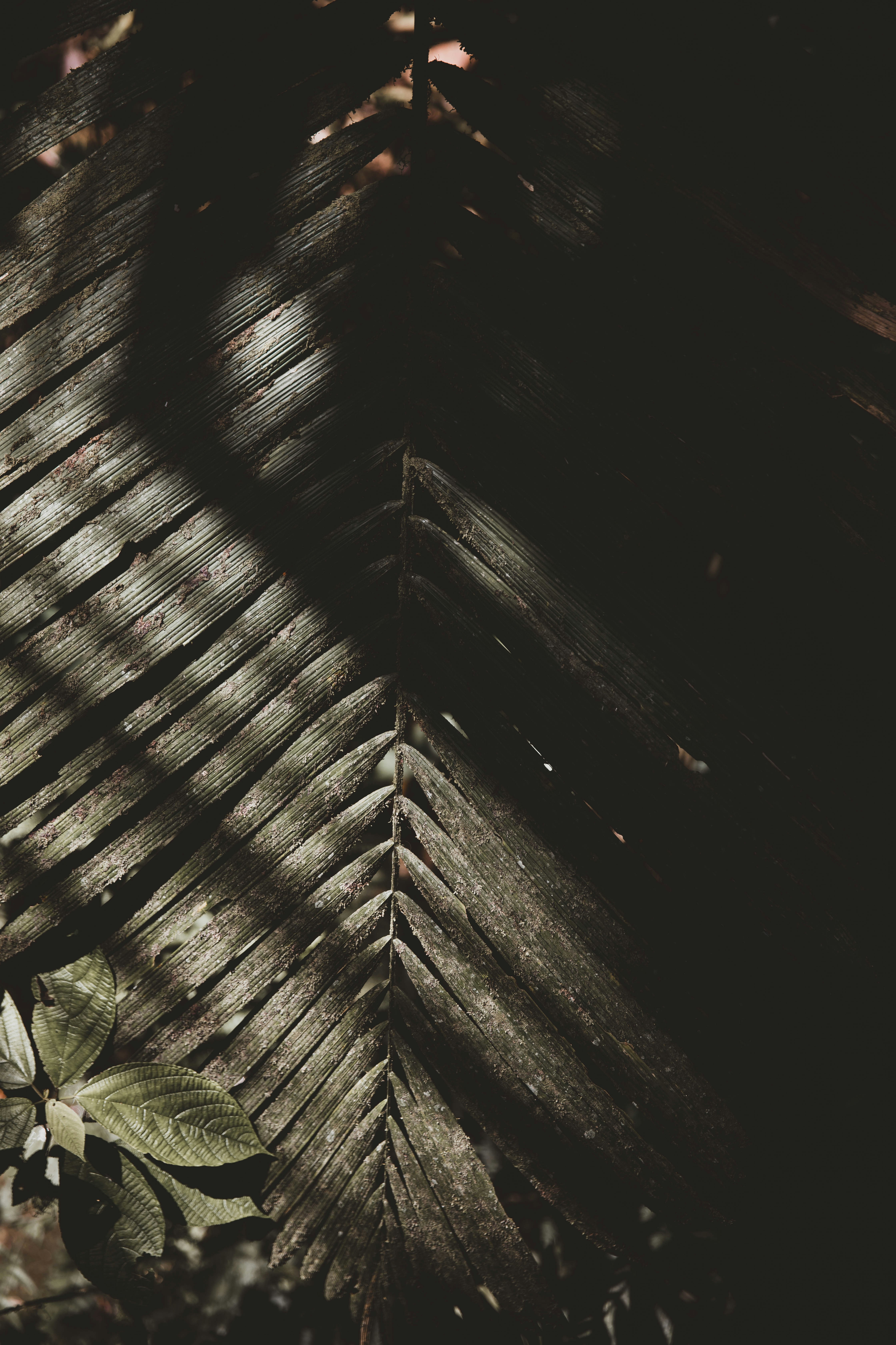 Photo by jordanmcgee