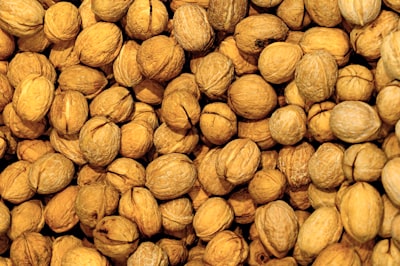 bunch of nuts nutty zoom background