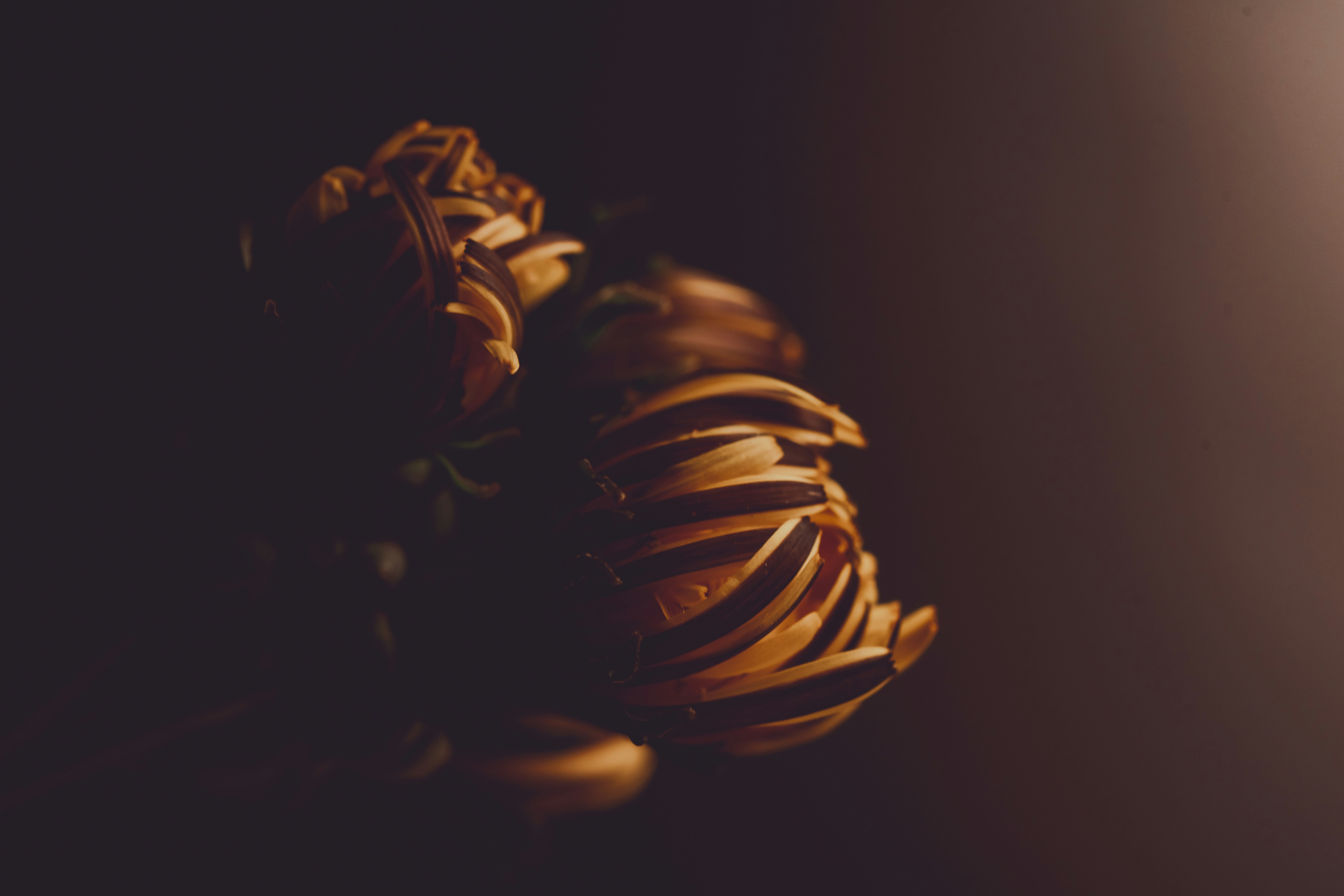 Modern dining space with natural lighting