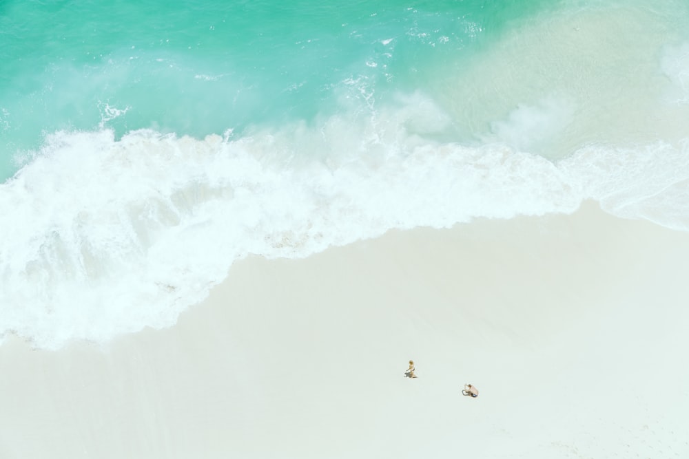 Zwei Personen auf Sand in der Nähe der Küste