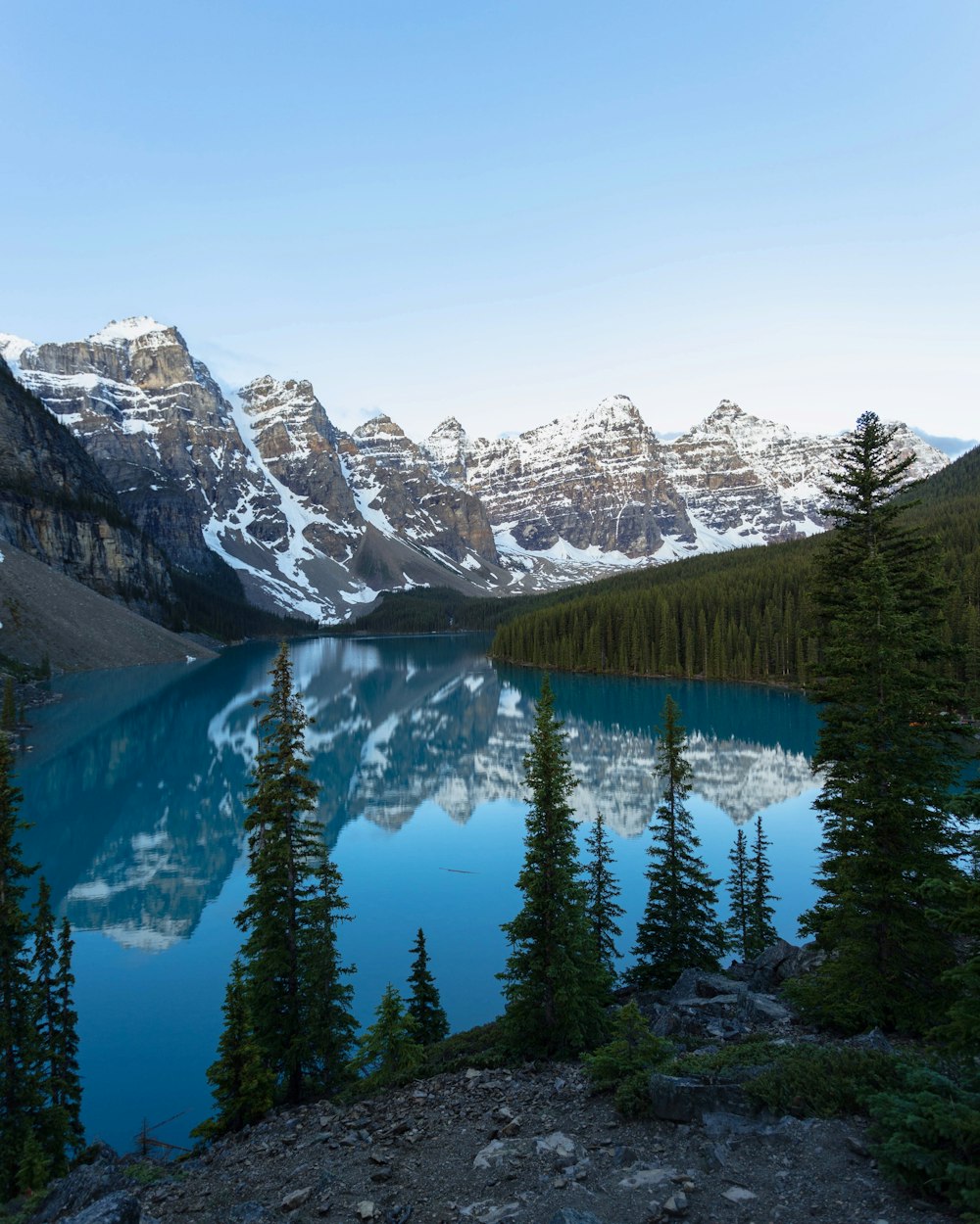 pine trees near lake and mountains