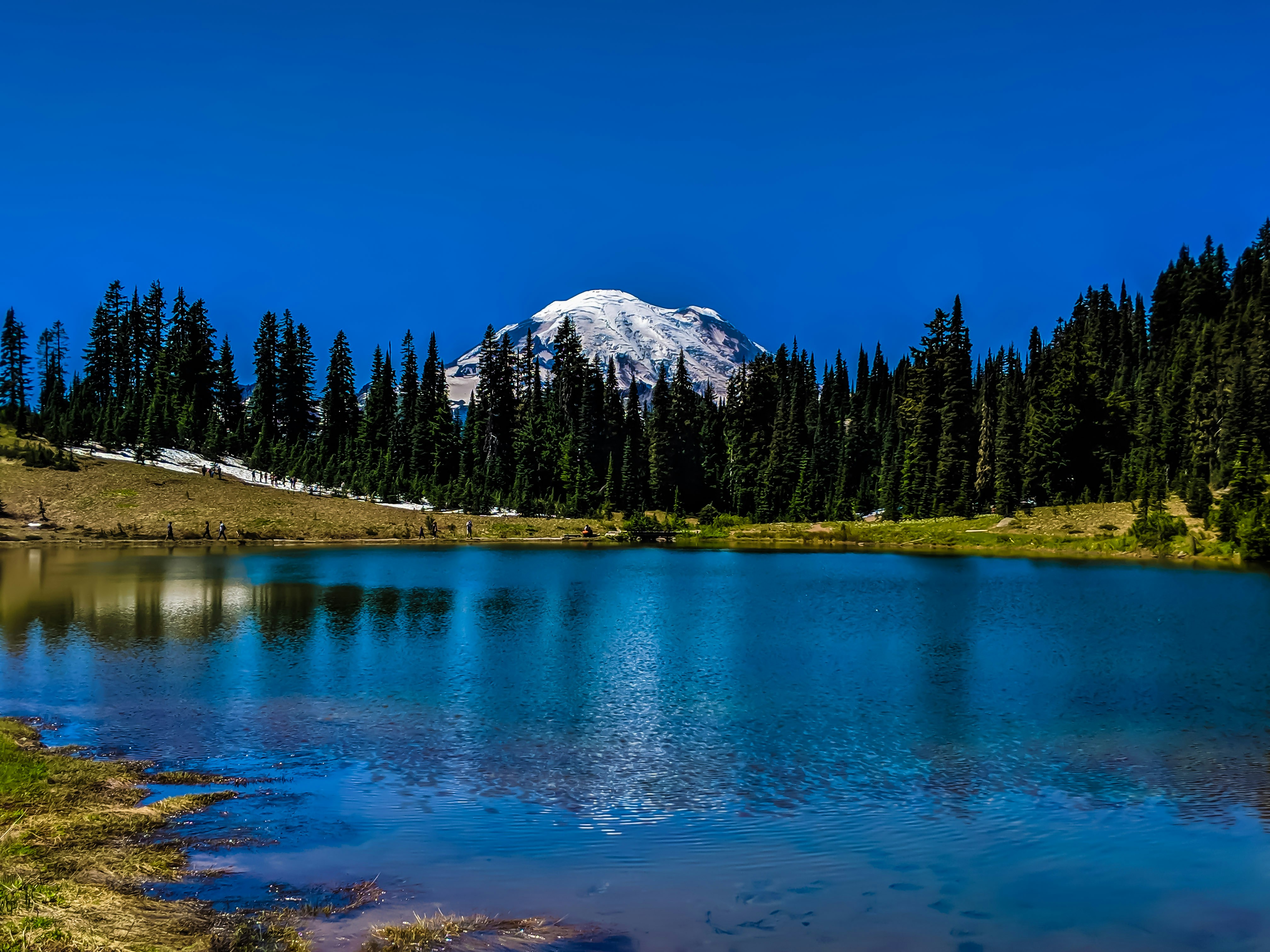 Photo by bonsai_blue1