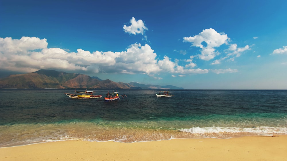 brown, red, and white rowboats on body of water near shore during daytime