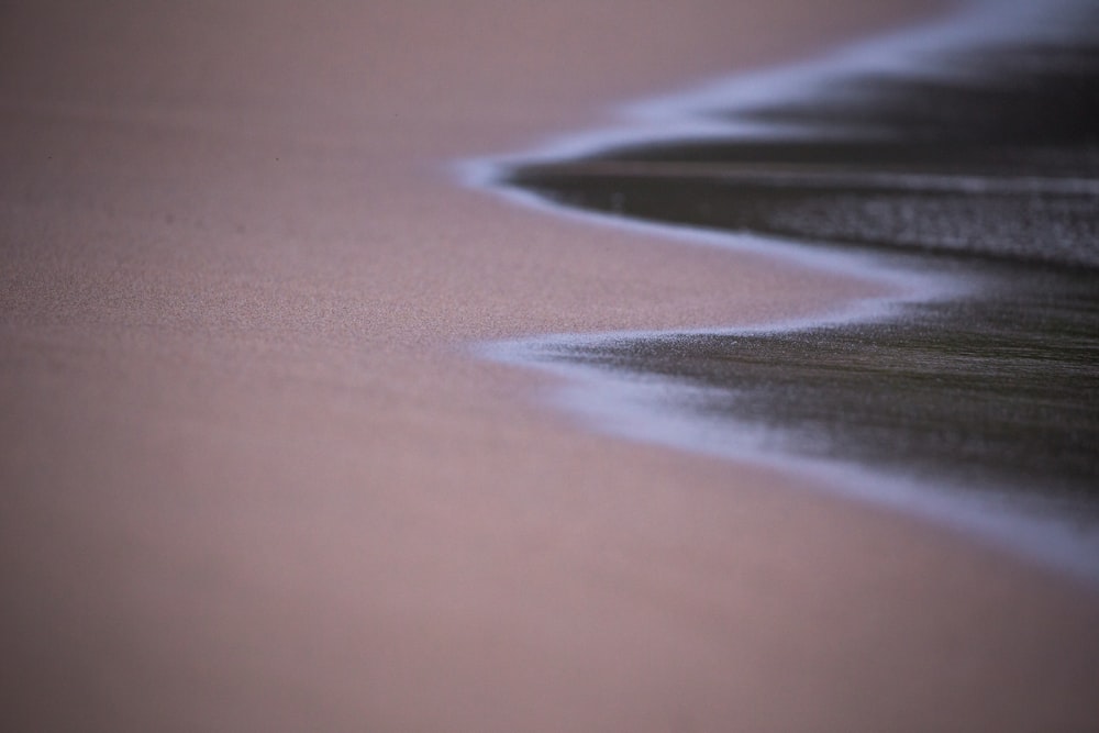 brown sandy beach