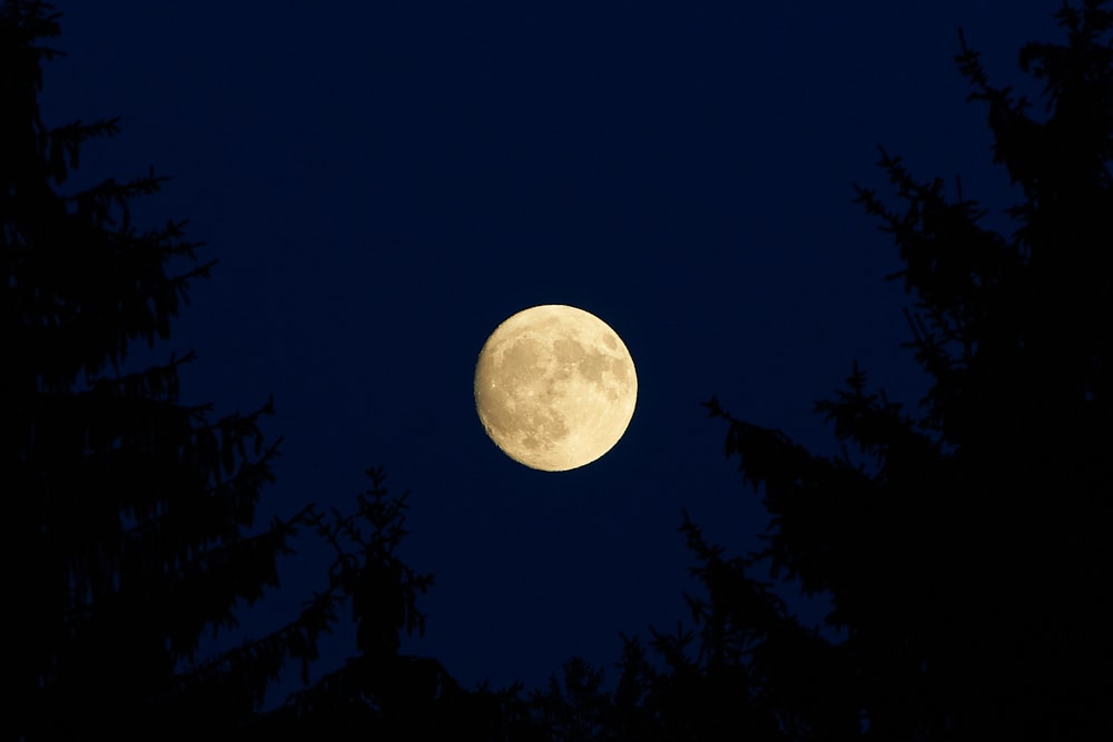 low-angle photography of moon