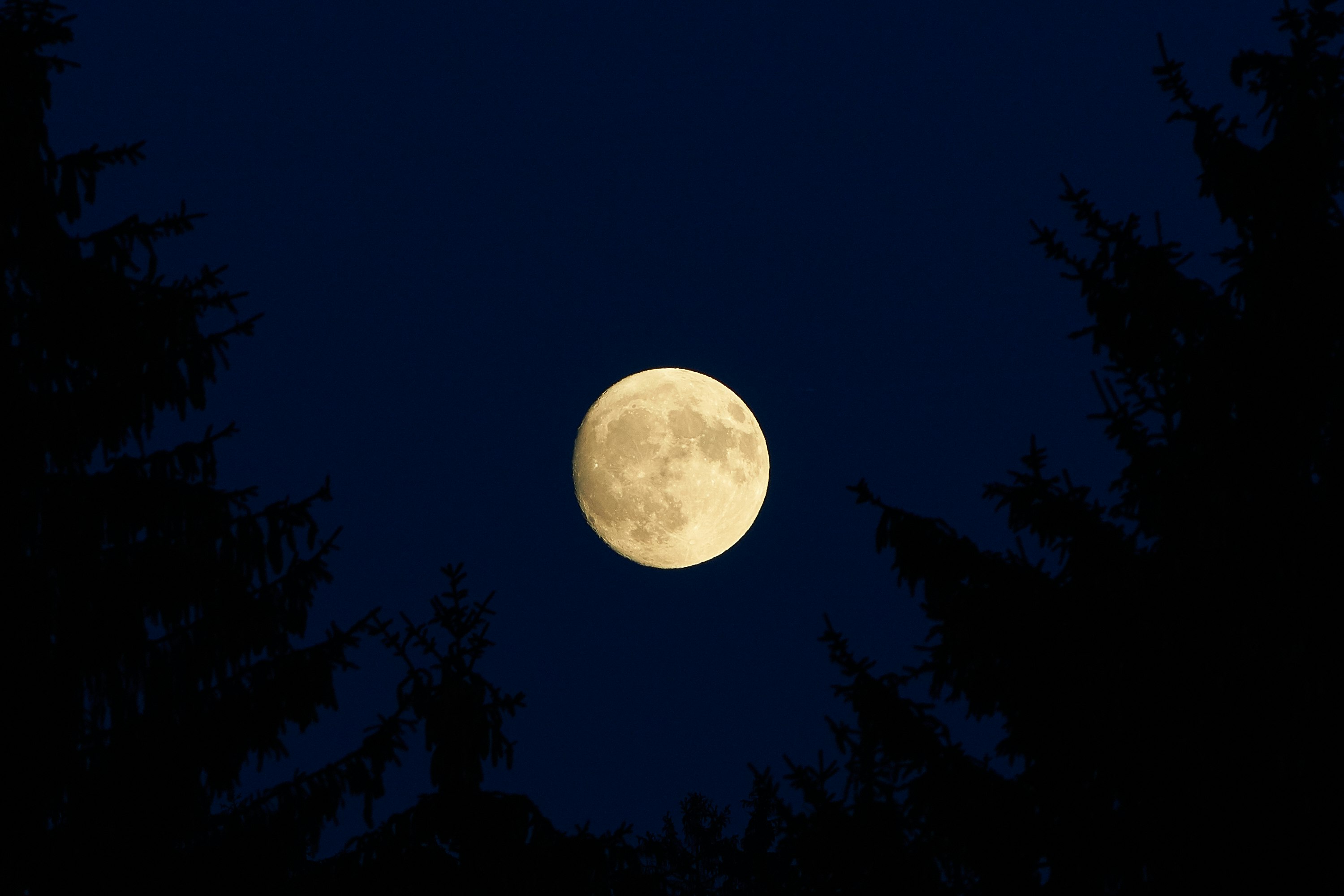 low-angle photography of moon