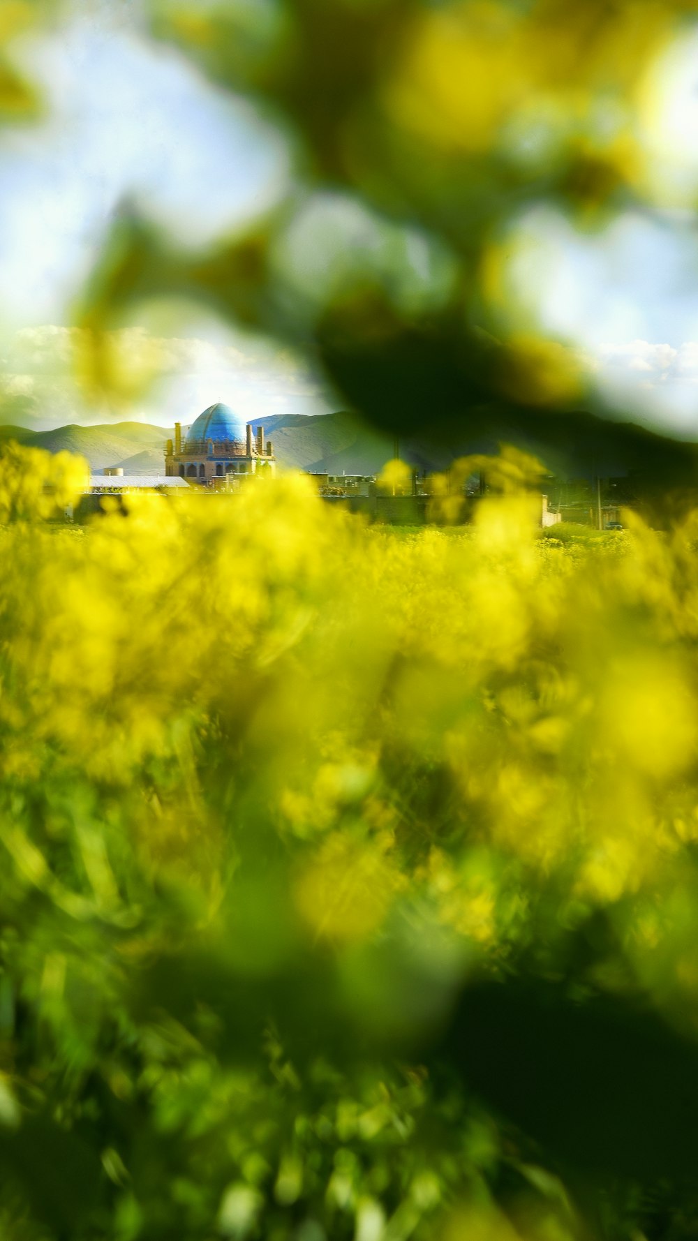 jouet en plastique jaune et noir