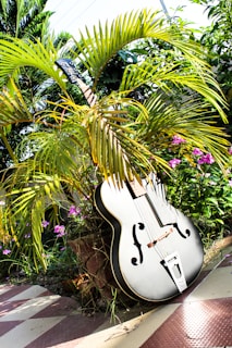 A large, black acoustic guitar is placed outdoors amongst lush green palm fronds and vibrant pink flowers. The setting is bright, with sunlight casting shadows and highlights on the guitar and surrounding foliage. The guitar leans against a stone or brick structure on a tiled floor, adding an artistic contrast to the natural and constructed elements.