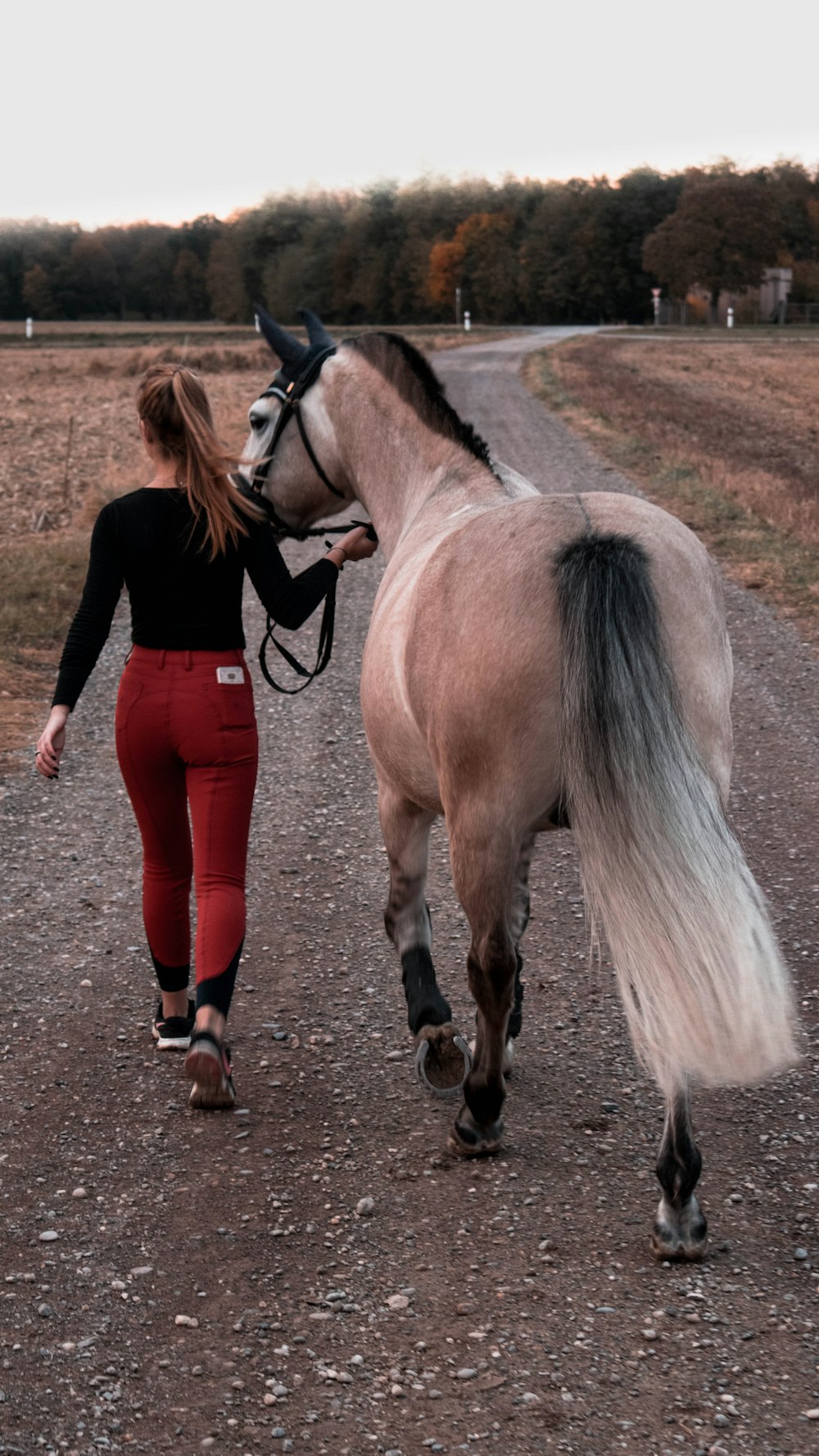 woman walking beside brown horse