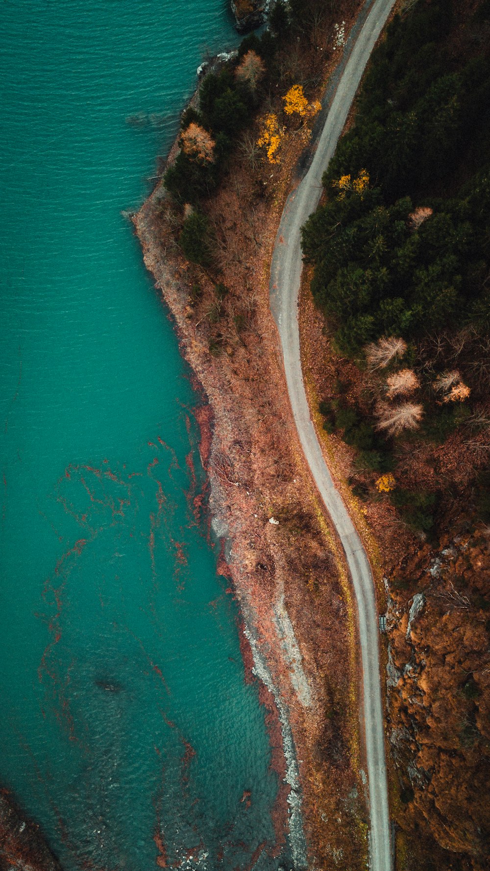 aerial photography of road near body of water