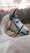 Close-up of a skilled farrier fitting horseshoes on a calm horse in a rustic Basque countryside setting.
