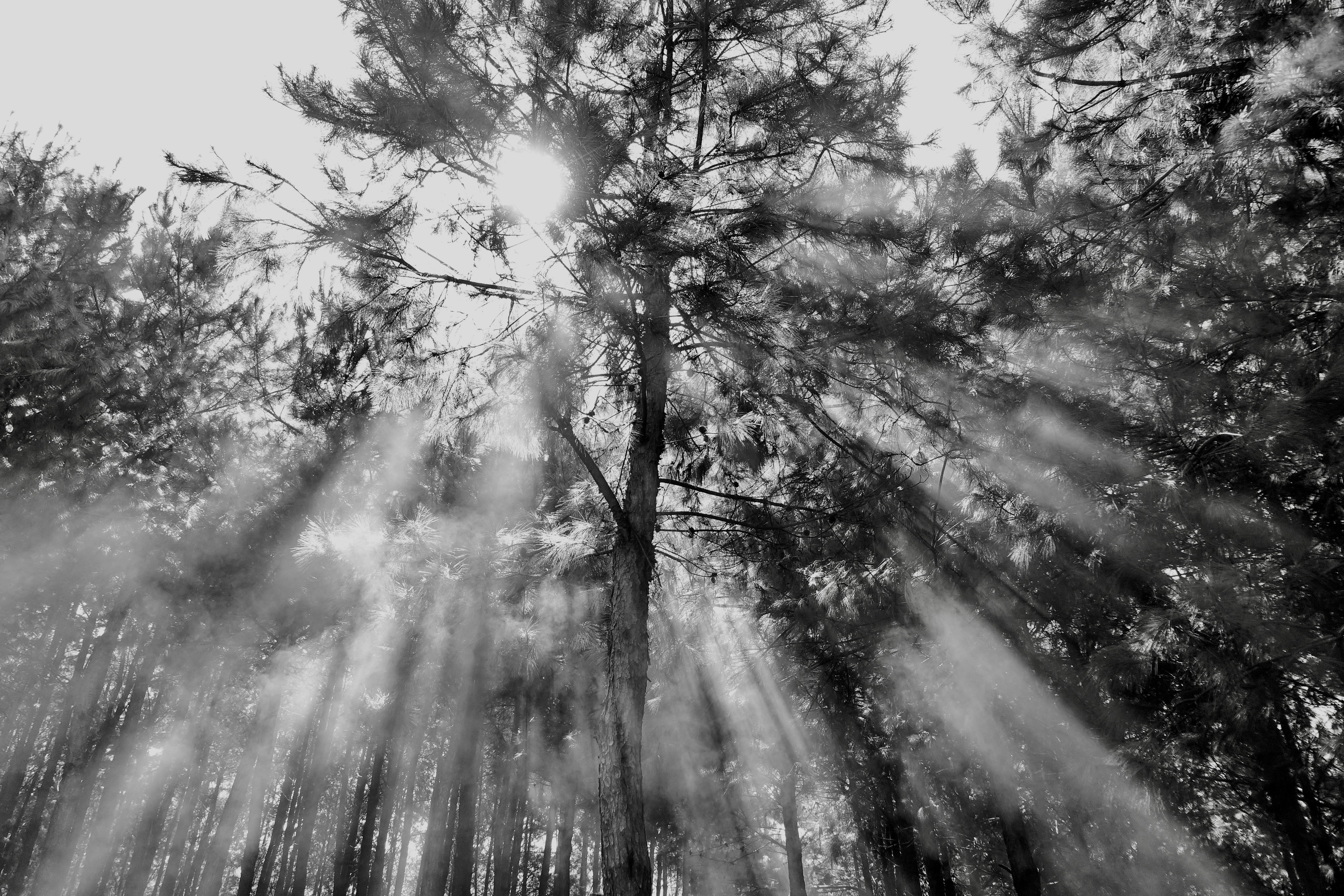 Photo by alexakafreak