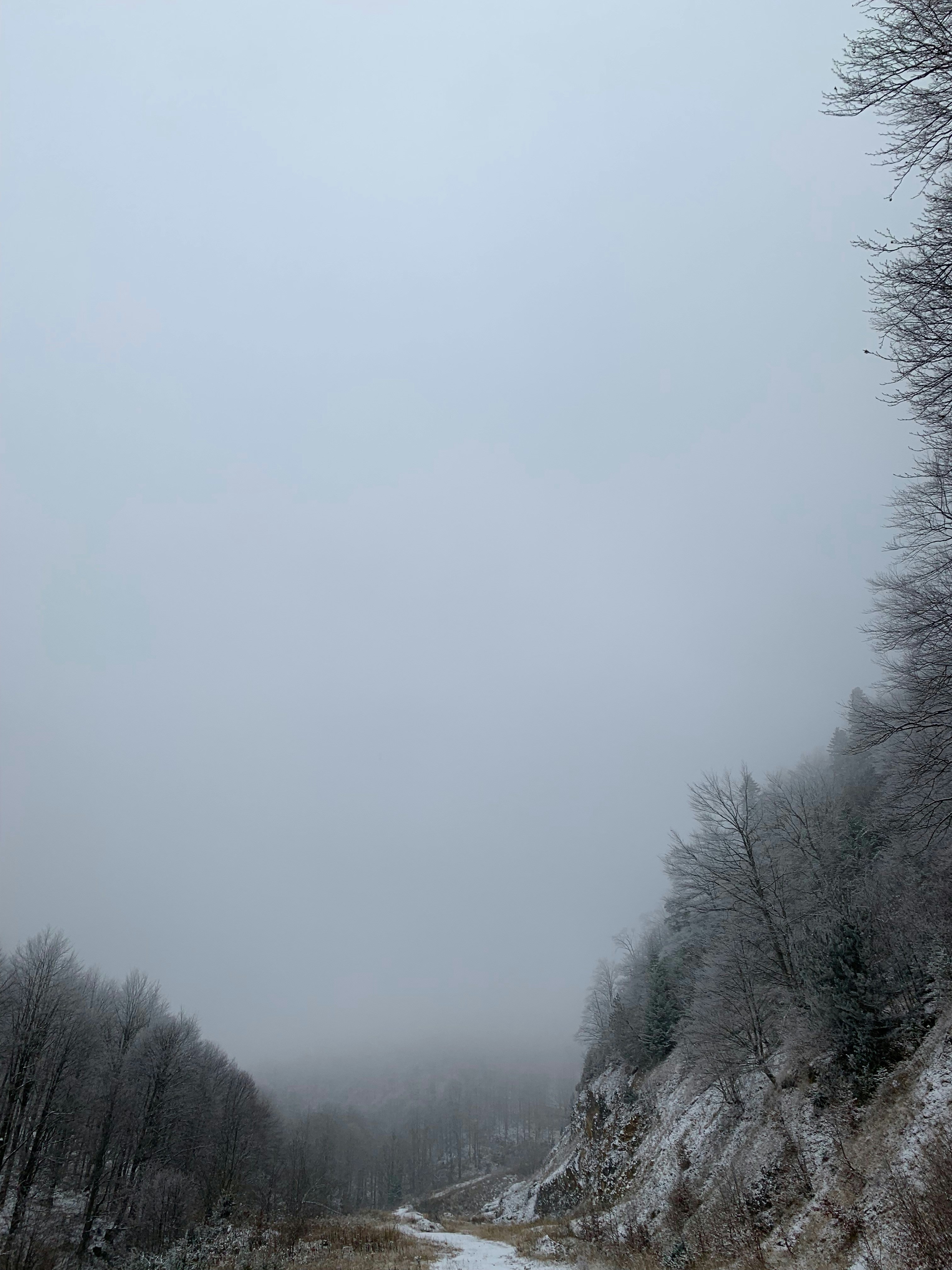 Photo by shpetimujkani