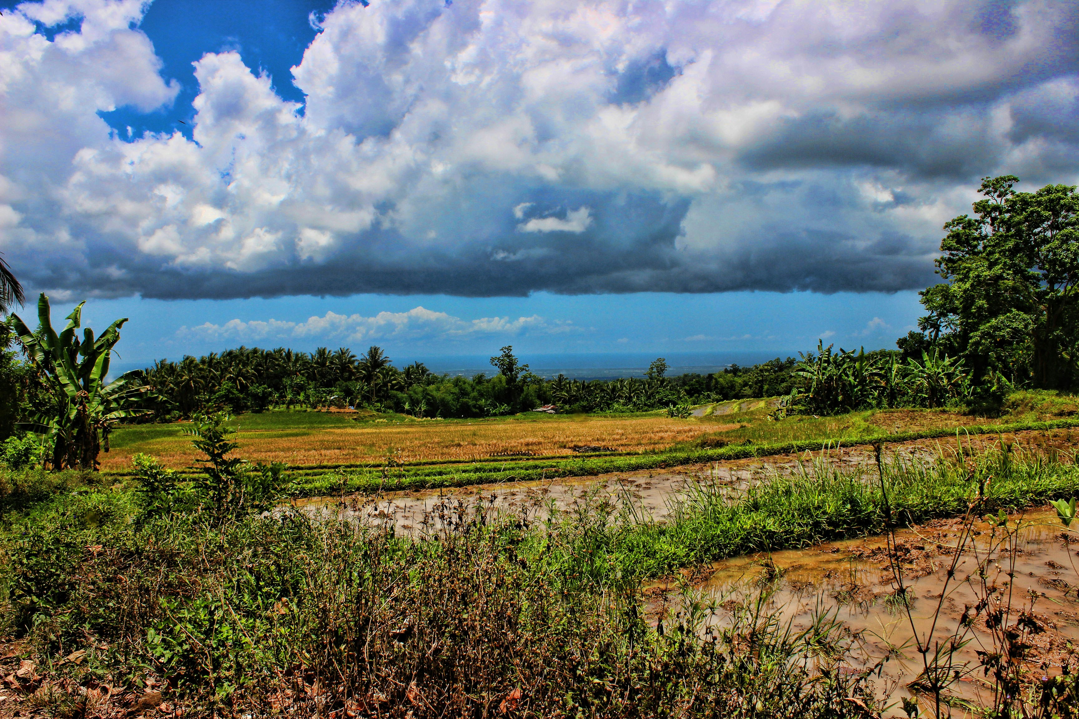 River delta landscape, vast flat terrain, dramatic sky, water channels, tropical vegetation at dusk
