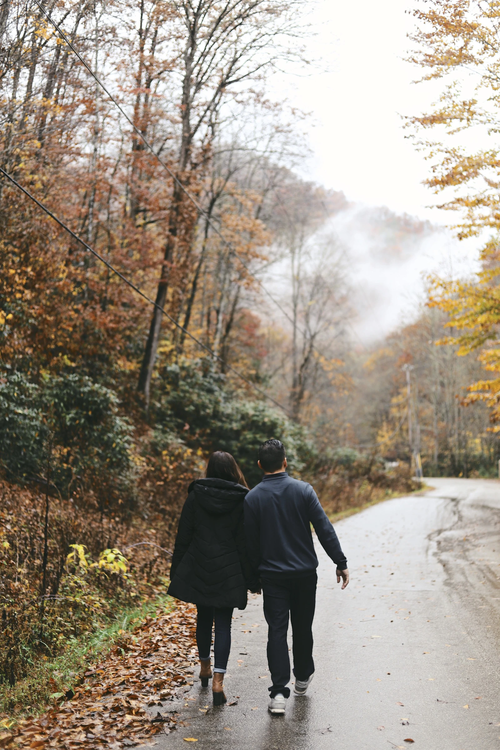 Couple marchant côte à côte sur un chemin bordé d'arbres, vu de dos