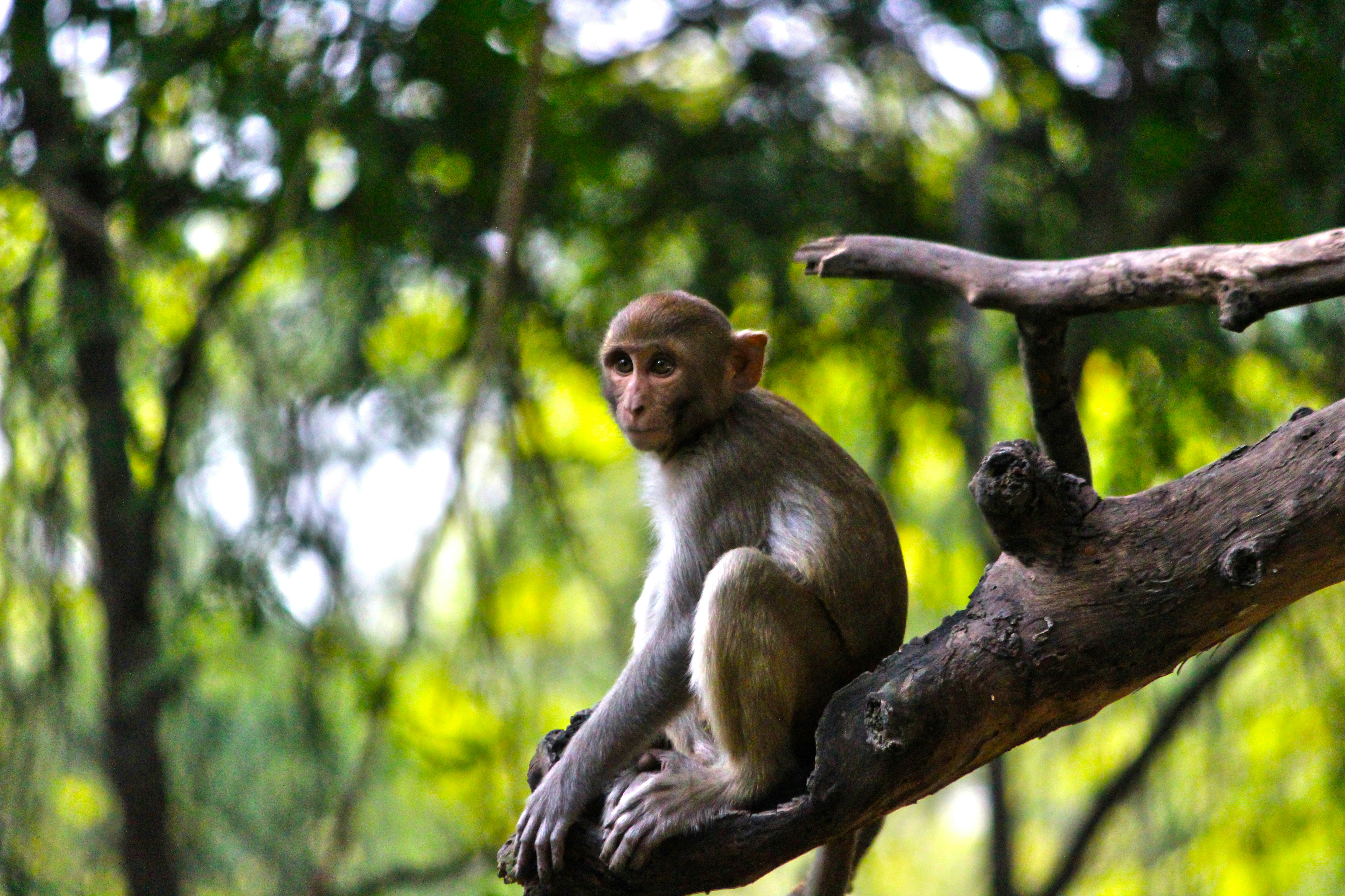 Photo by harsh_wardhan