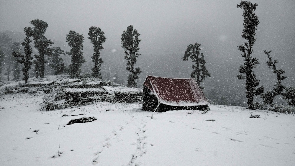 red tent covered with snow during daytime