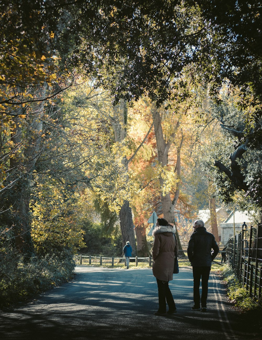 two women walking under green tree