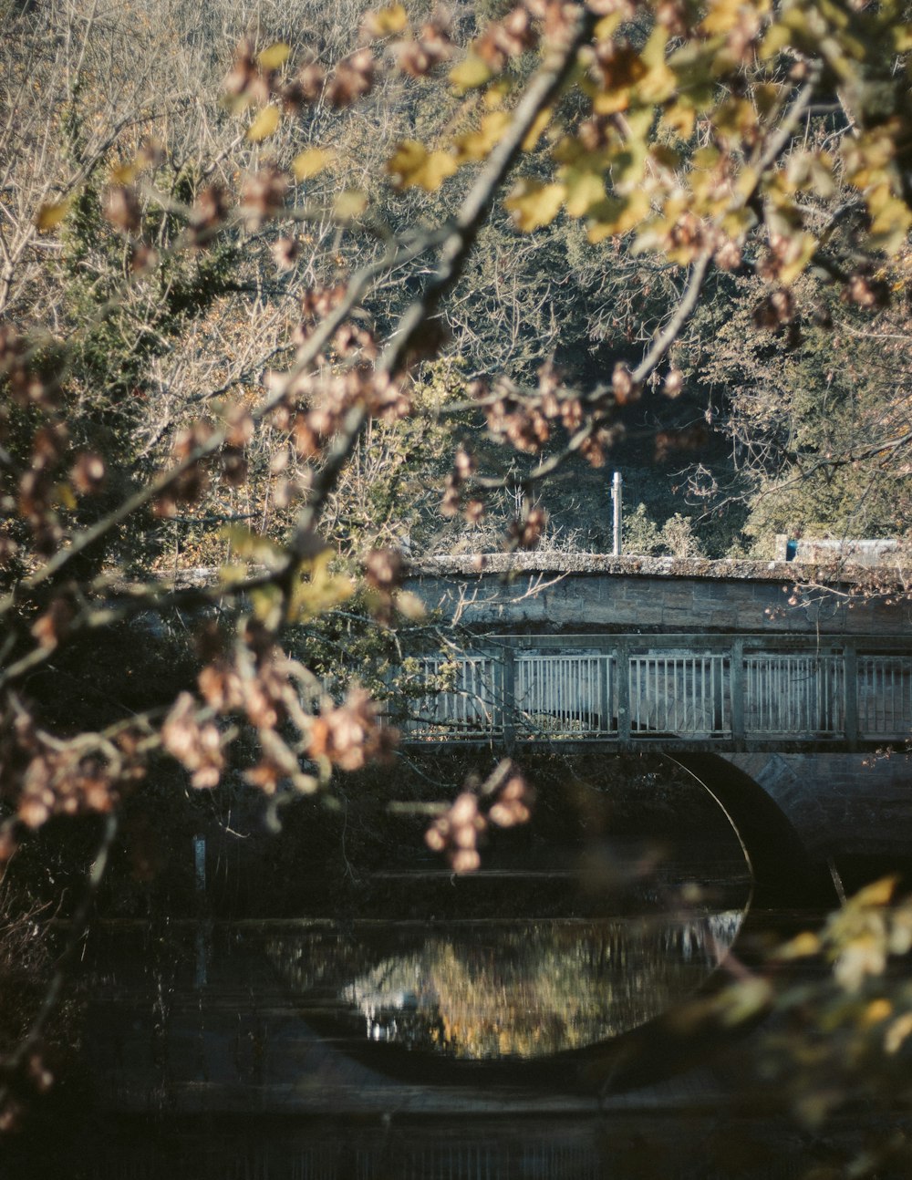 bridge by the body of water