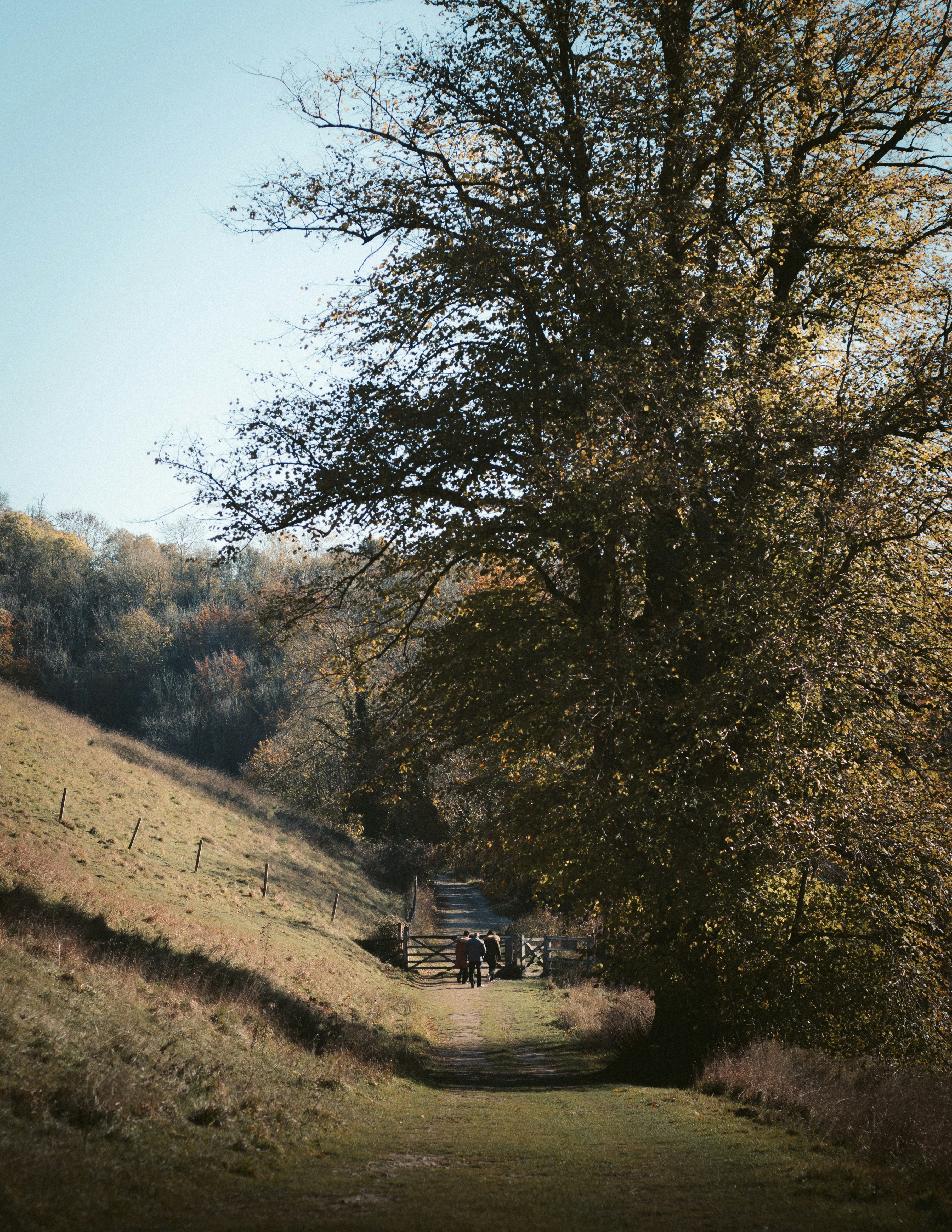 Photo by jamesfrancis