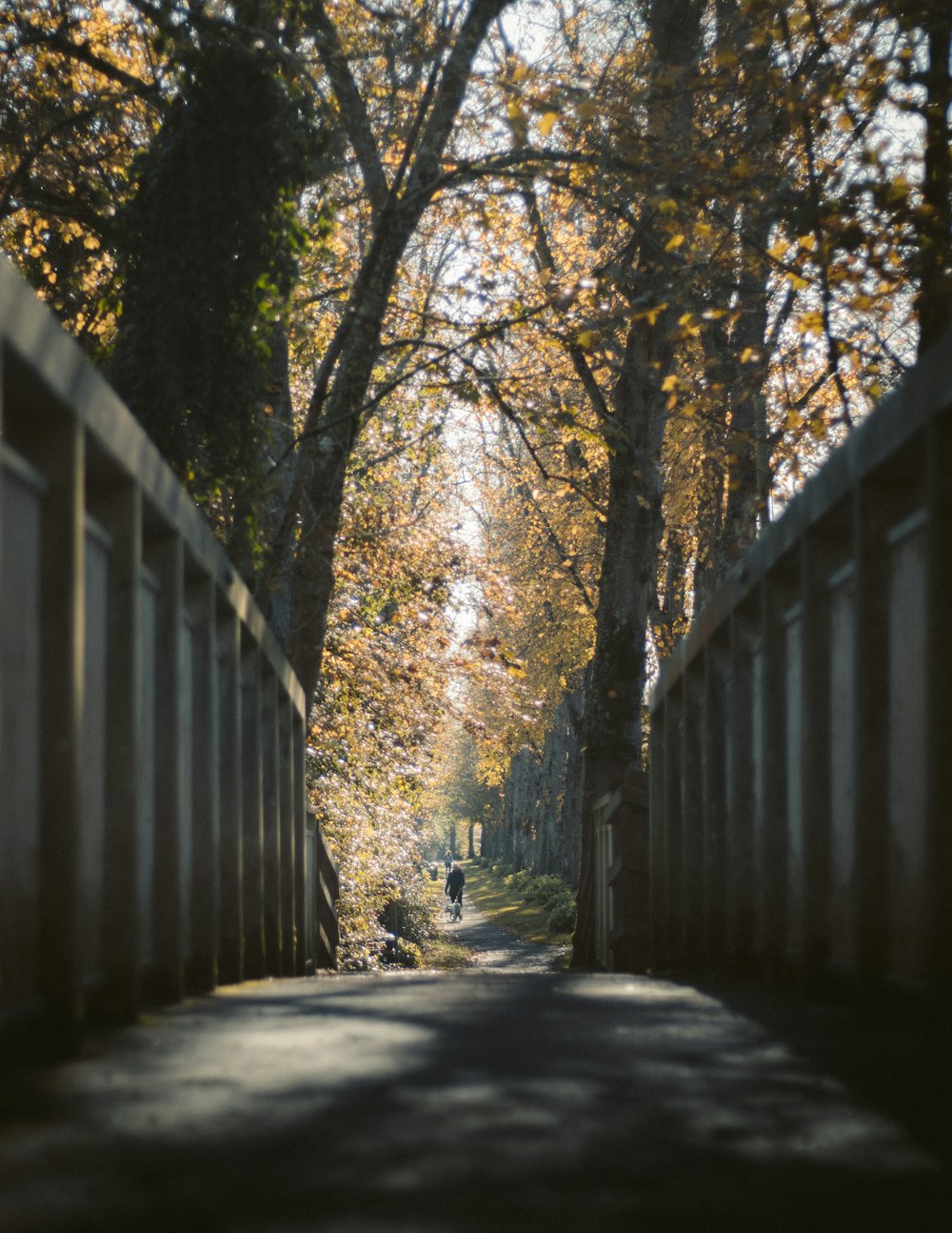 empty bridge during daytime