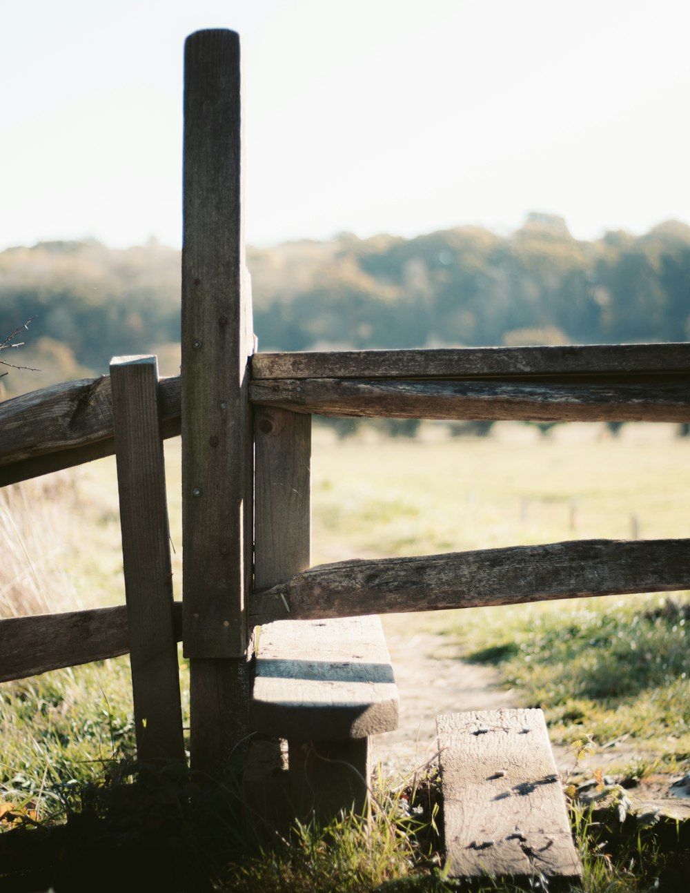 brown wooden fence during daytime