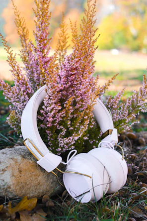 white cordless headphones near plant during daytime