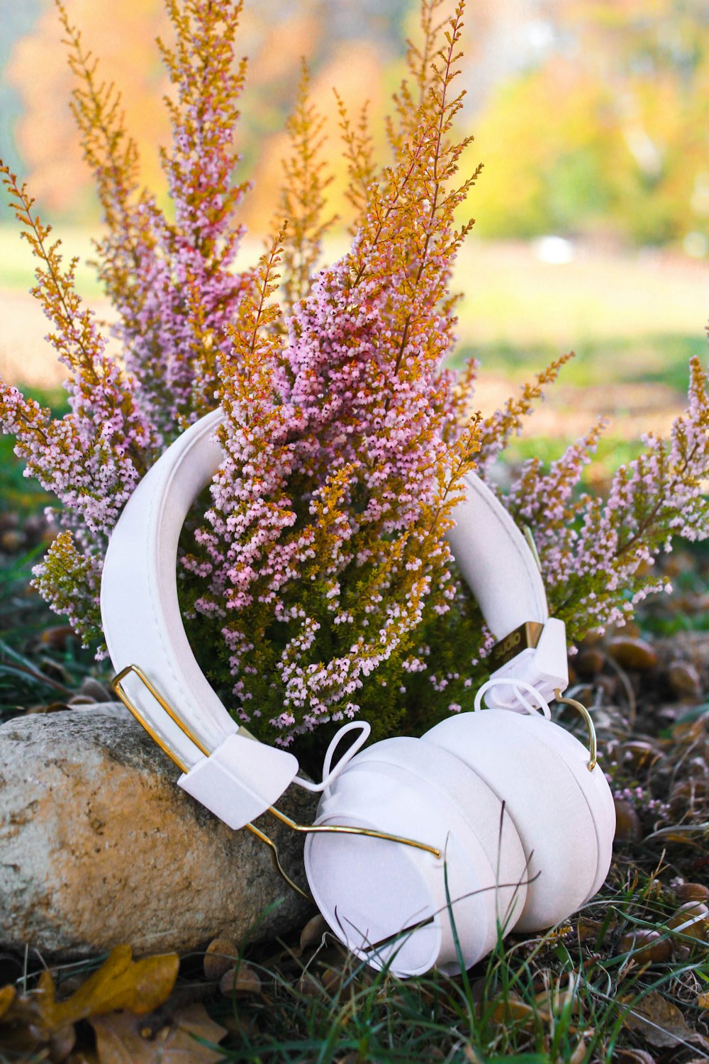 white cordless headphones near plant during daytime