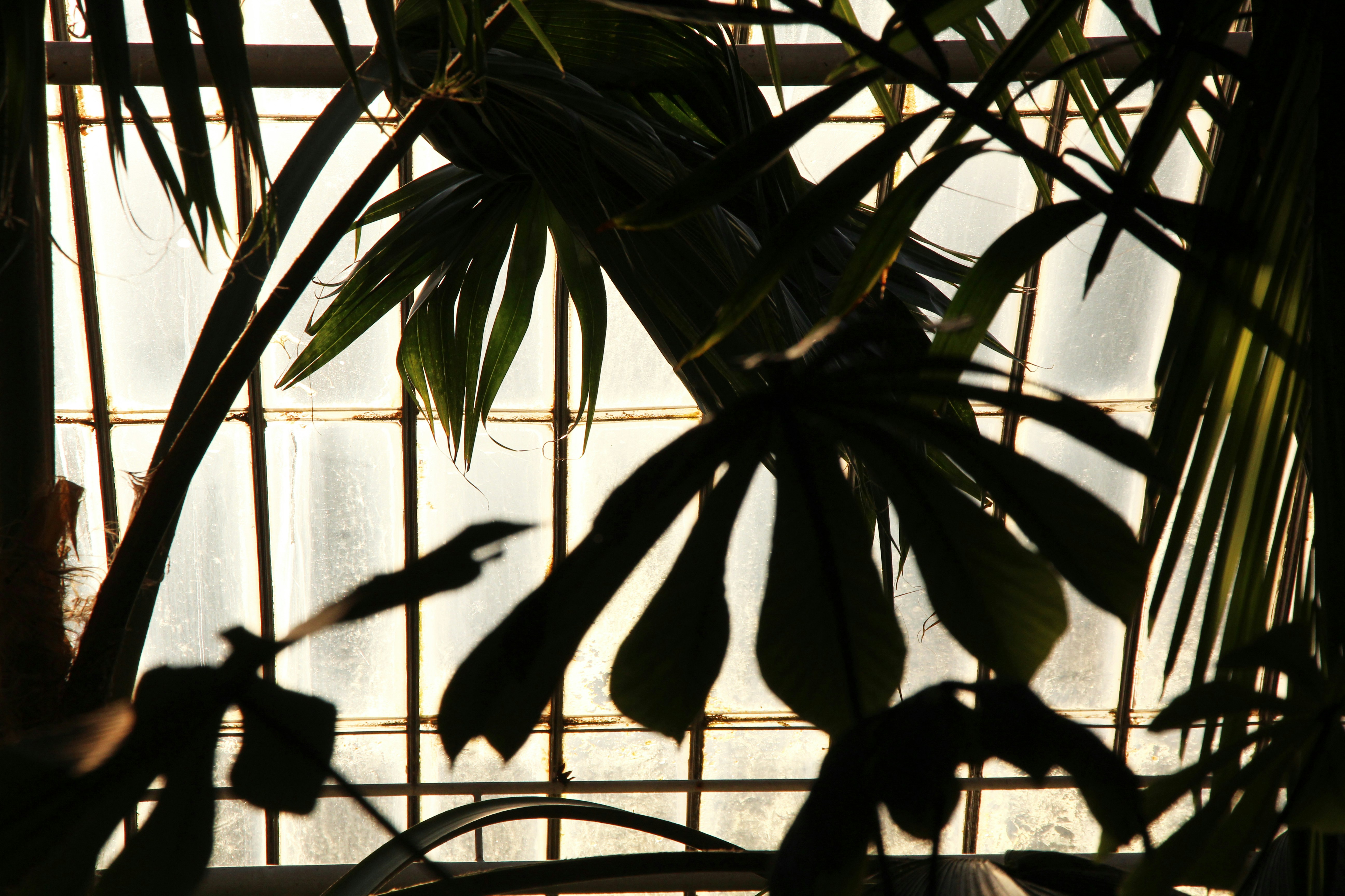 Photo by ferranfeixas