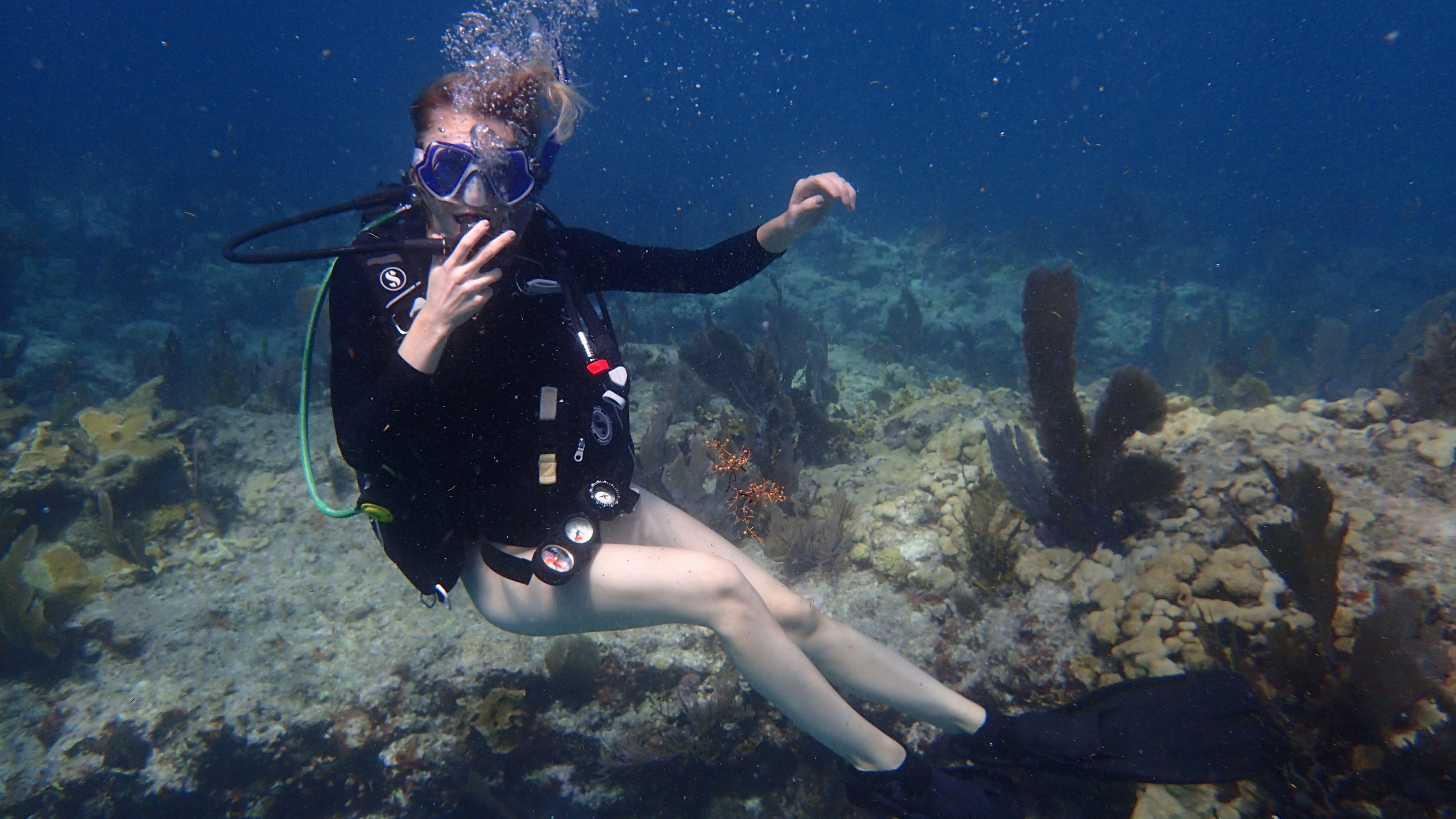 Scuba diver glides above a vibrant coral reef in clear blue water, bubbles trailing as fins propel the dive.
