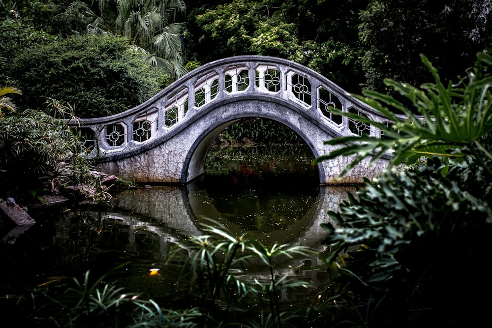 Weiße Brücke, umgeben von Bäumen