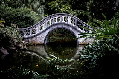 white bridge surrounded by trees