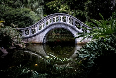 white bridge surrounded by trees bridge zoom background