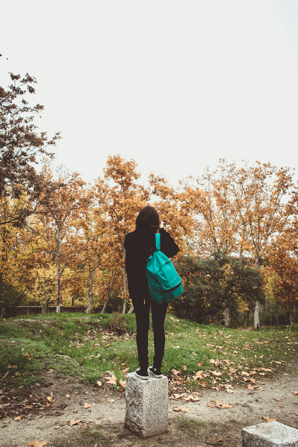 person standing near field of trees