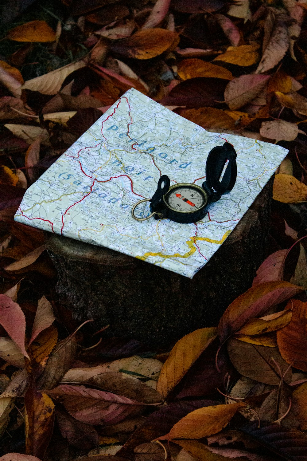 compass on white map surrounded dried leaves