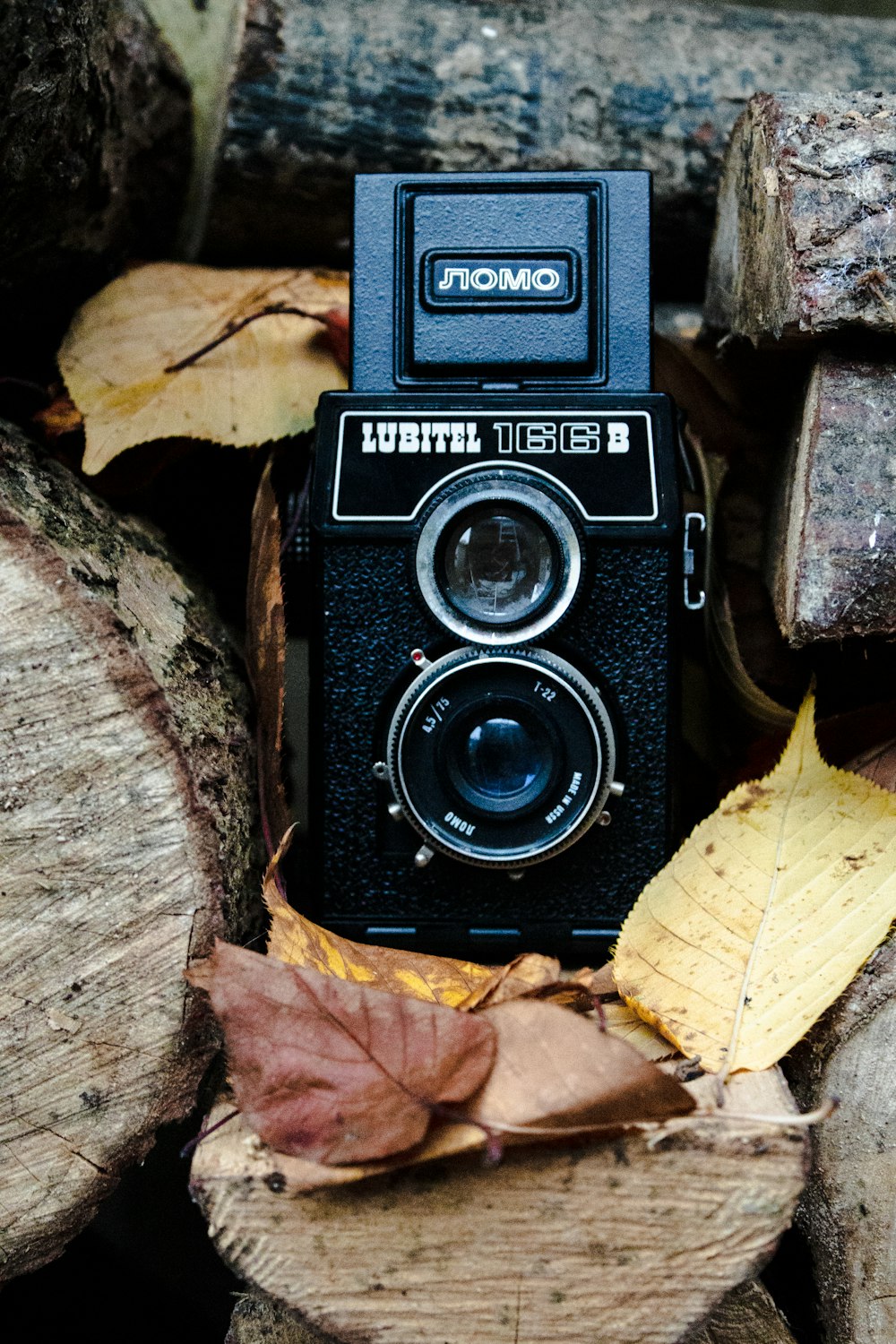 black twin-reflex camera on firewood
