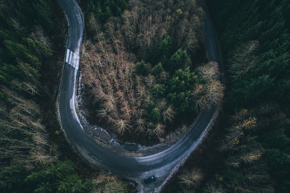 Fotografía aérea de carretera curva