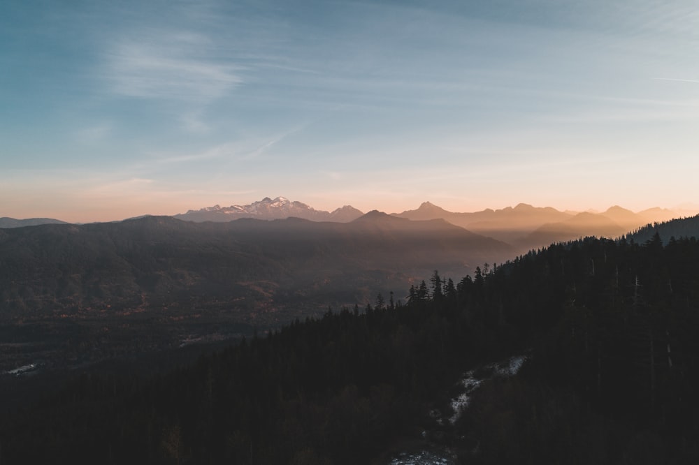 Photo aérienne de la forêt