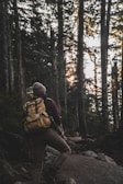 A person is hiking through a dense, lush forest. The hiker is wearing a beanie, backpack, and outdoor clothing, stepping over rocks and roots on a forest trail. Sunlight filters through the tall trees, casting dappled light on the ground.