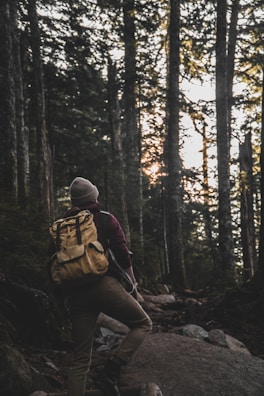 A person is hiking through a dense, lush forest. The hiker is wearing a beanie, backpack, and outdoor clothing, stepping over rocks and roots on a forest trail. Sunlight filters through the tall trees, casting dappled light on the ground.